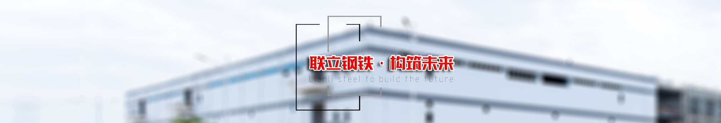 湖南联立钢材贸易有限公司